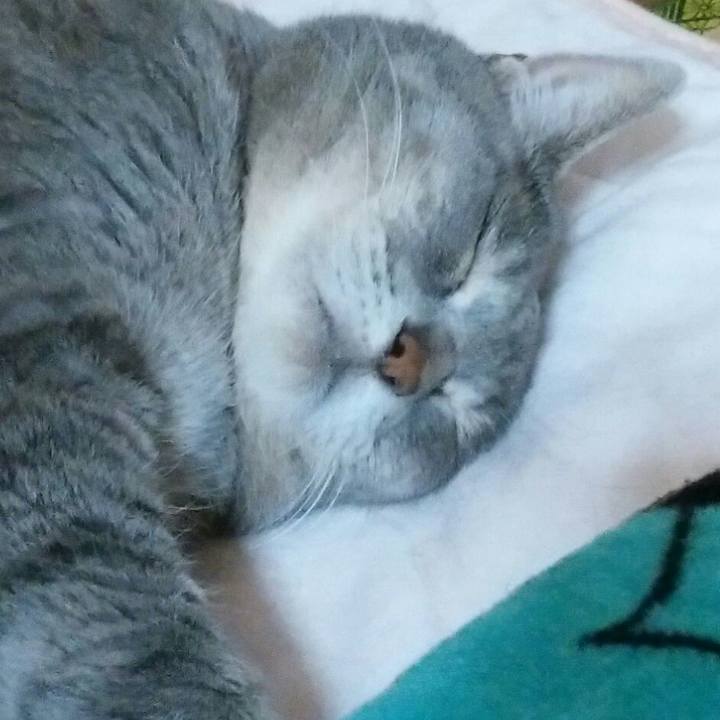 B6efd0fd b518 43ac a61a 5afbe1a5537f 1562684629556