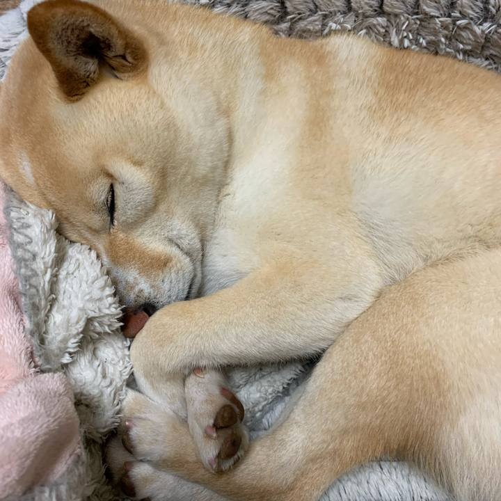 B6efdeaa 4bd6 494e b3e8 aa829a13fe19 1648122149553