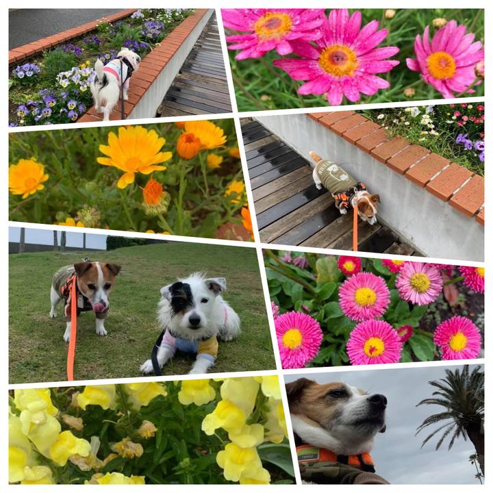 B6efe793 cafe 45a3 ab5d 0a488ff8e893 1650200063728