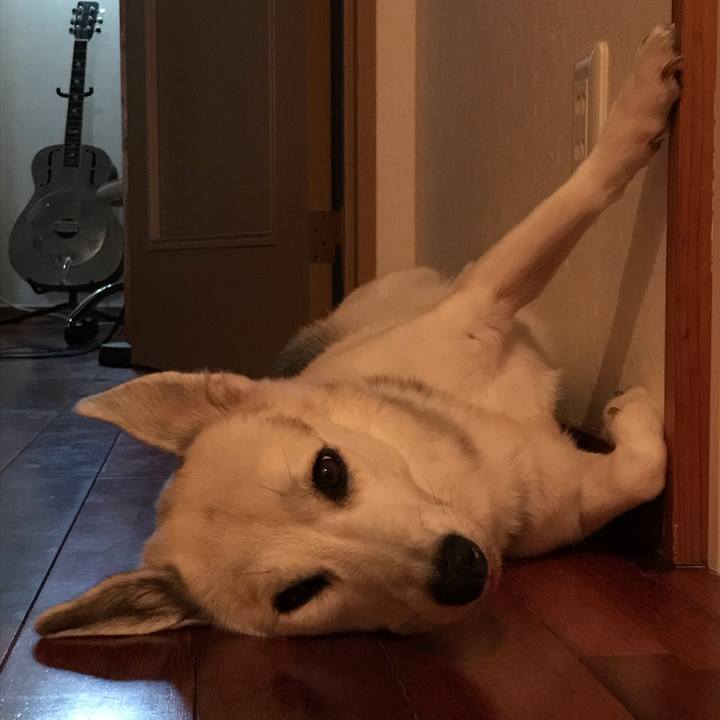 B6f035cc a589 498d beda 8ac46e79c990 1575351346184