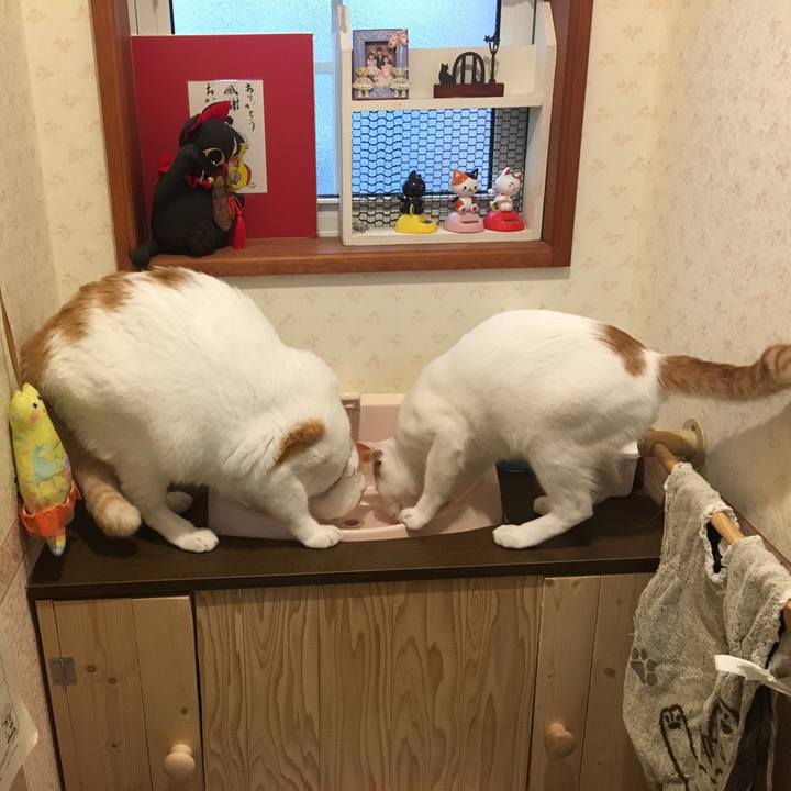 B6f04a1c b6aa 42eb 8eef 86f27e4e8311 1509231055683