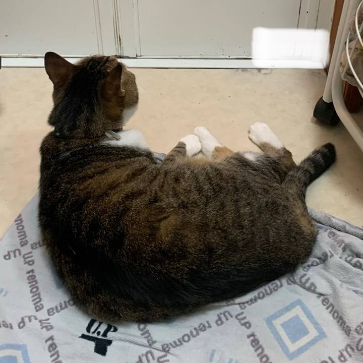 B6f05d0f b6f2 42d3 841d 1ca945289761 1592752229879