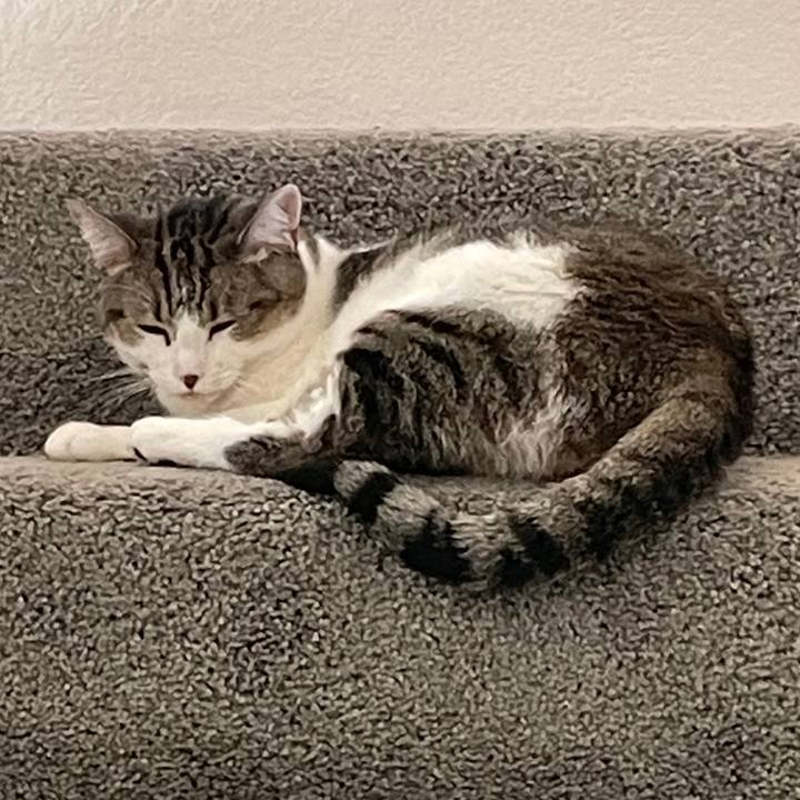 B6f063ba ce99 4862 bb01 e74e07120065 1744076545368