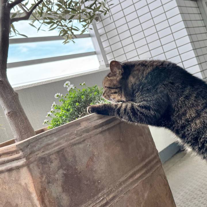 B6f0e50b e74f 4b69 a080 513cb9fa35c2 1772932209954