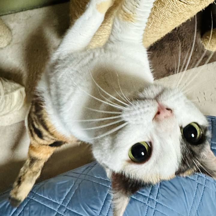 B6f12e50 fa60 4de4 8cc3 c0ce40487bc1 1687311922184