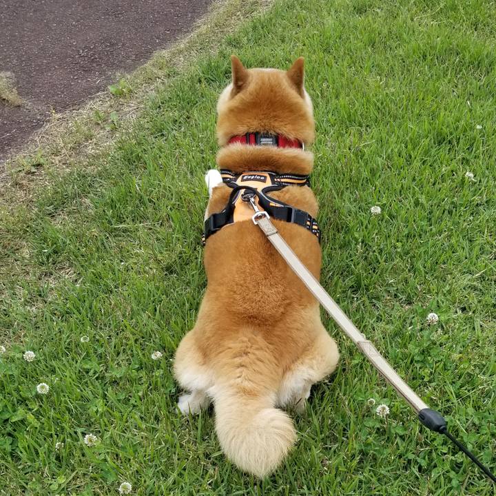 B6f13183 3df1 47bf b183 eafafc27fc81 1716531440978