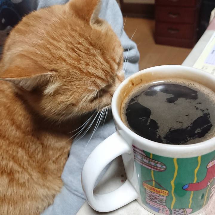 B6f1341d db2b 4e90 8be4 95bb3998769f 1606765157260