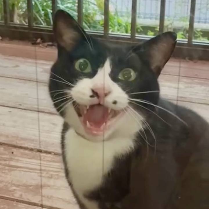 B6f138d3 f490 4764 bf5c 848119b2fb1b 1758104537227