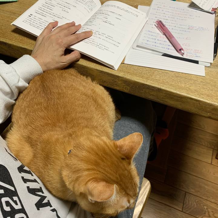 B6f15b03 abfa 4883 a140 cce4d48fe136 1586355137956