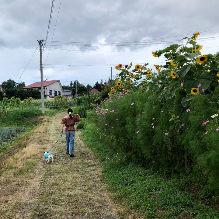 B6f17584 664e 4f96 bc8e c13a69a0ce1d 1565783439956