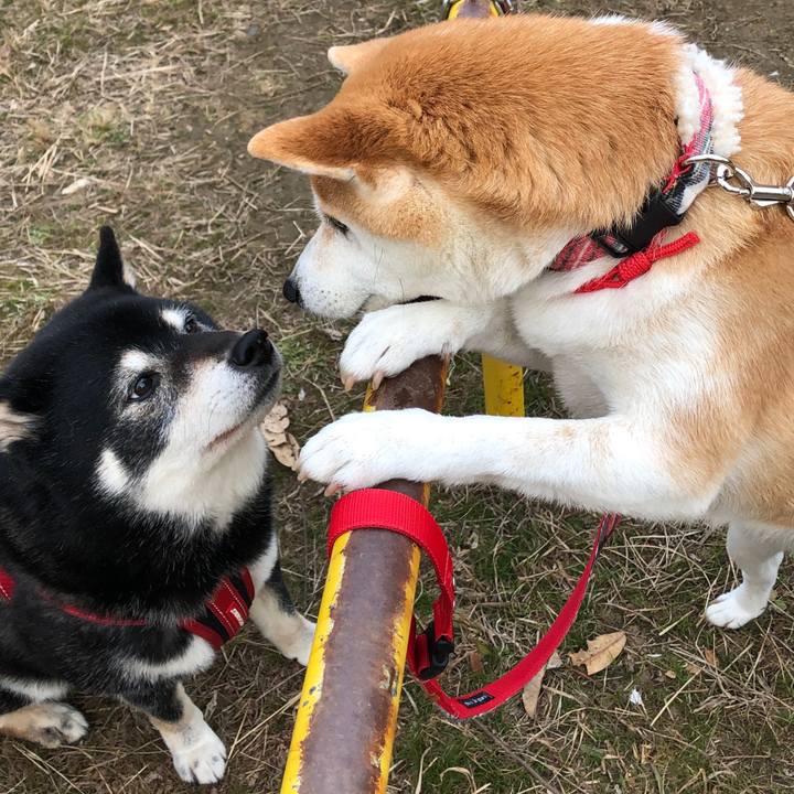 B6f1901c 647b 44fa a4a3 3bdfb3811358 1581071890457