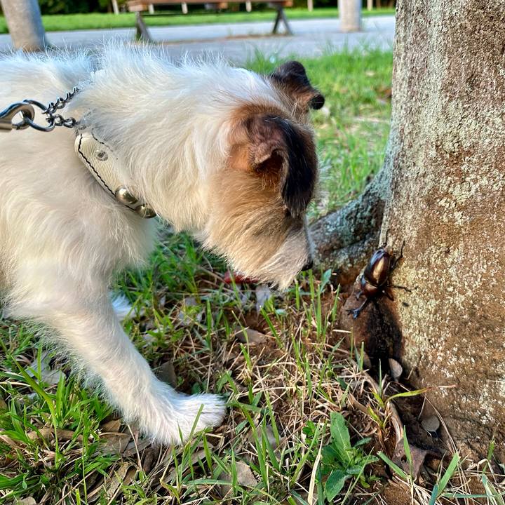 B6f1b855 3a11 49e2 87fc 5a6c4a7098be 1724765167455