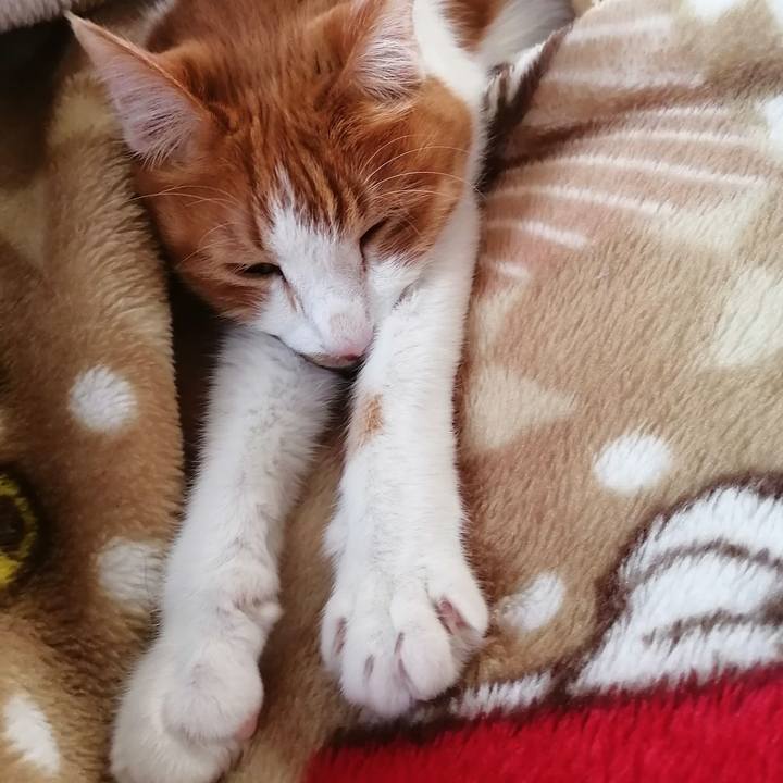 B6f1fe33 debe 4fc9 8702 6ad18e3c4db9 1635574955224