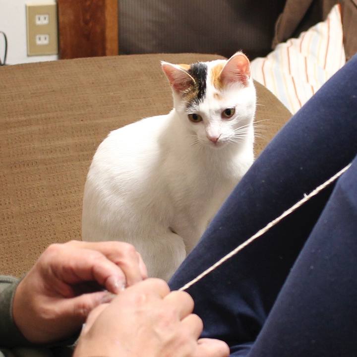 B6f2032e 8d8b 49b0 a296 1729eb1db19f 1553834698078