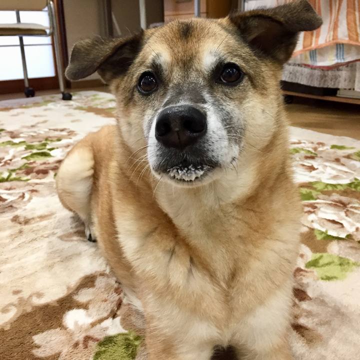 B6f208ba a19a 4646 9d88 7a6735dfd913 1575416745437