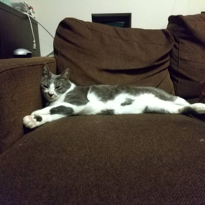 B6f23209 68db 49f5 98d3 6691b12668c4 1618492558714