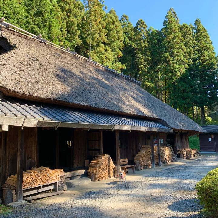 B6f232ab 96d9 4d83 b6dd 0220dfa5ee01 1667034223764