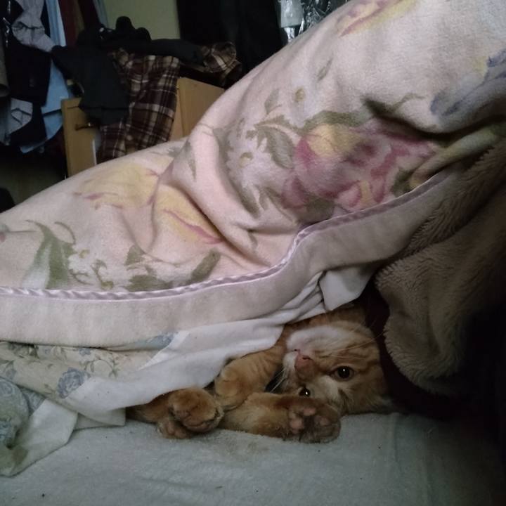 B6f2339d 69ab 4e96 babd 635ce4db71e9 1683498254034