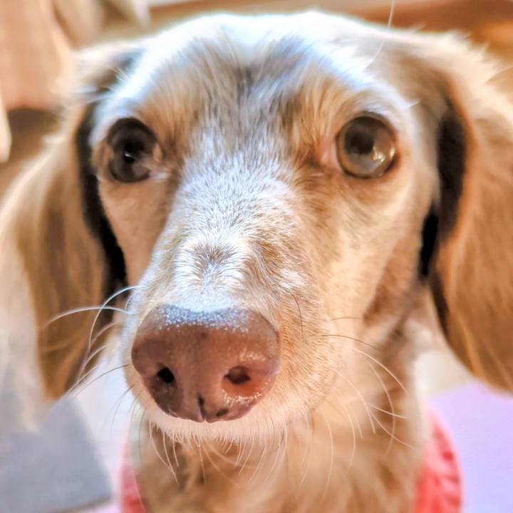 B6f23d07 4733 4d9d 821e 6f89a187c182 1765501524016