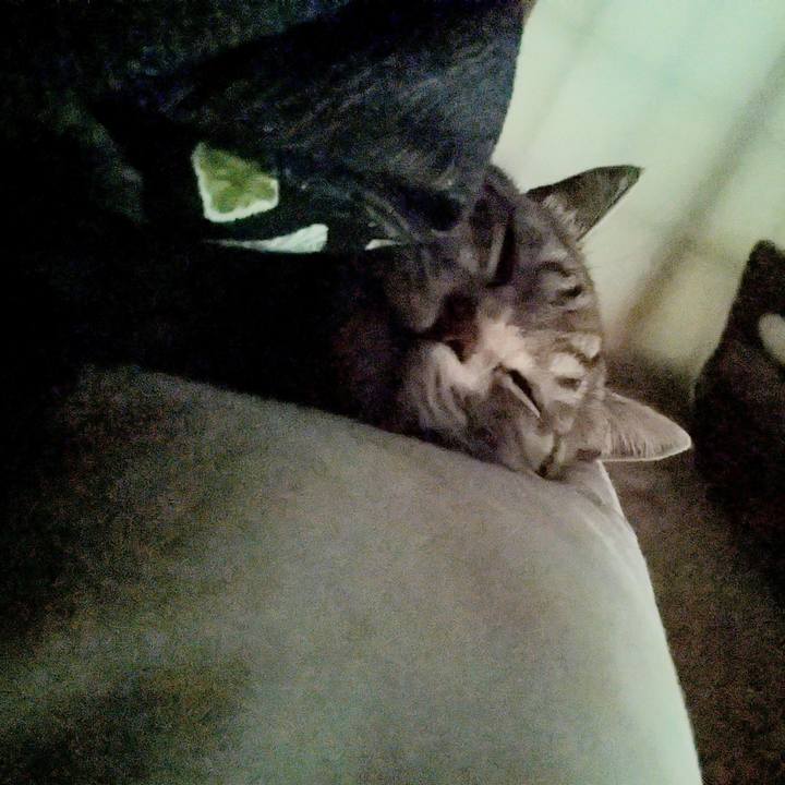 B6f2456f 93a7 48ba a63f acf4750a105a 1732081424891