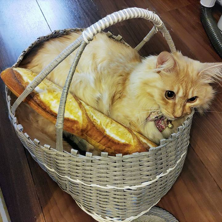 B6f24638 3064 458c 9858 5189b660c821 1665921387118