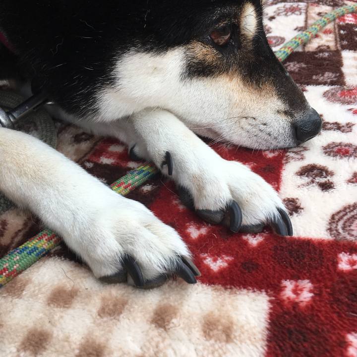 B6f24e6a 22dc 4f0e b61e e52db124183b 1602374723623