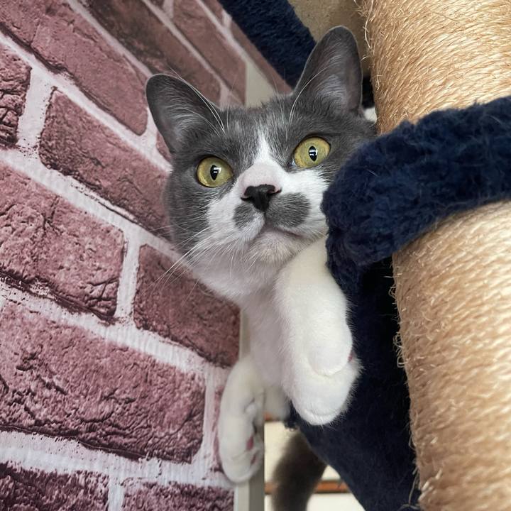 B6f27202 e6c3 470f a0b7 f3e8dde354e7 1748044071005