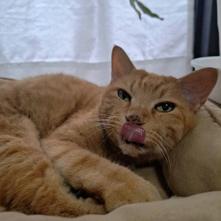 B6f274f2 b11b 4f0a bc2d 031ccbf73aa8 1758968245330