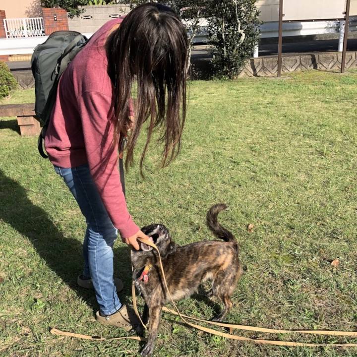 B6f28dc4 df17 422c 8916 2c1c778de590 1509176640506