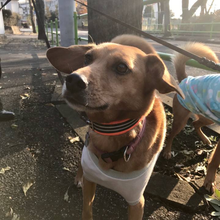 B6f2b064 e345 4376 b07b bb42842e46db 1512344868730