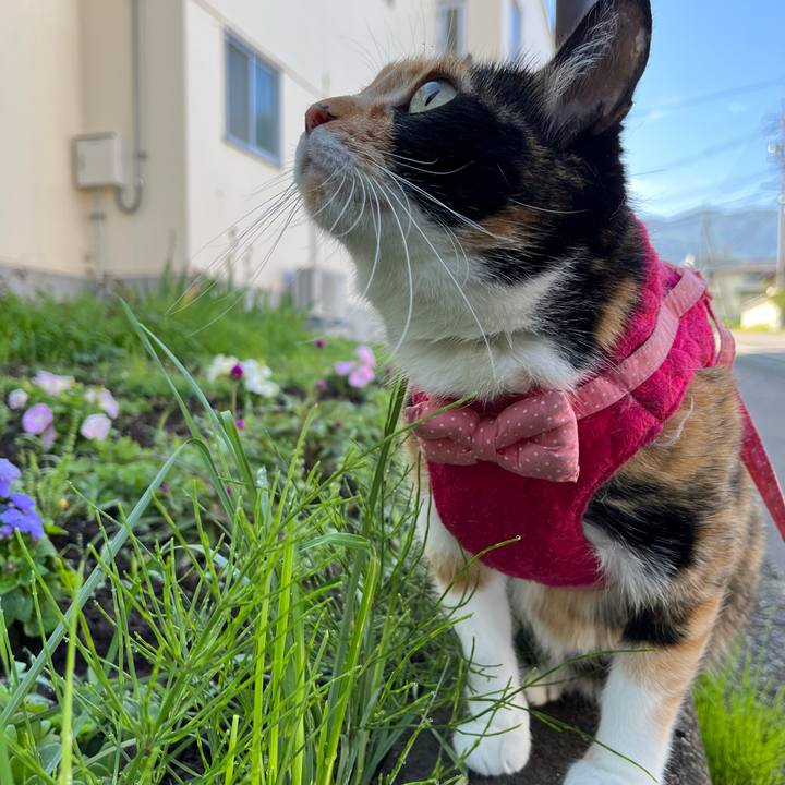 B6f2e7ea 534c 4689 97e1 4ce1c974a27e 1686954980499