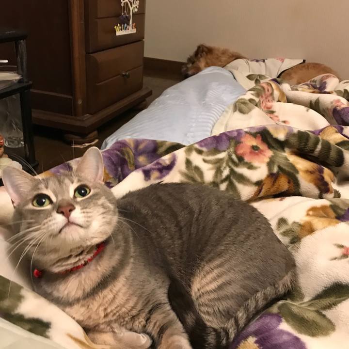 B6f3097e 0d6d 4474 b2ae f3fcff4400fb 1578434152422