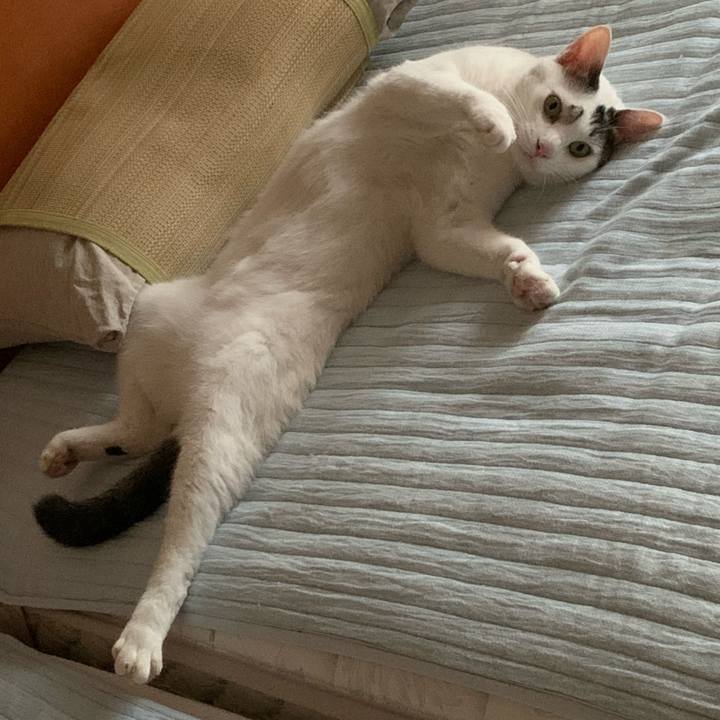 B6f345f1 f3de 4ffb be12 3ab42992652e 1691486557236