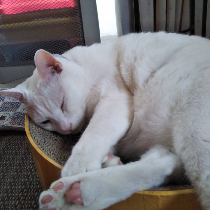 B6f34a00 70c4 4ac4 905c 780c57f33e4d 1606024932962