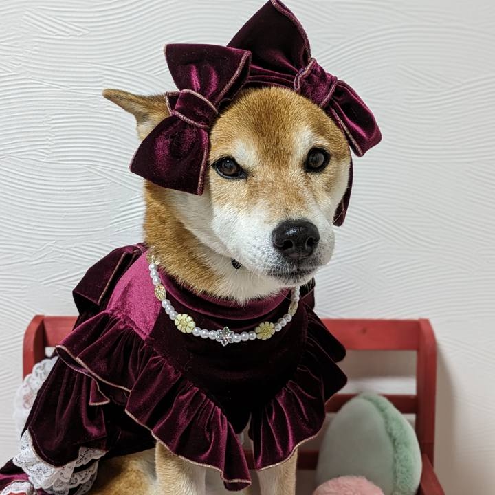 B6f36722 07f1 42e3 a816 99b55175f992 1707910235979