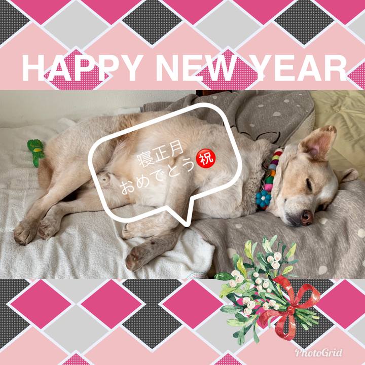 B6f389bc bd84 47e9 99ac aef8e3c7d914 1546313849516