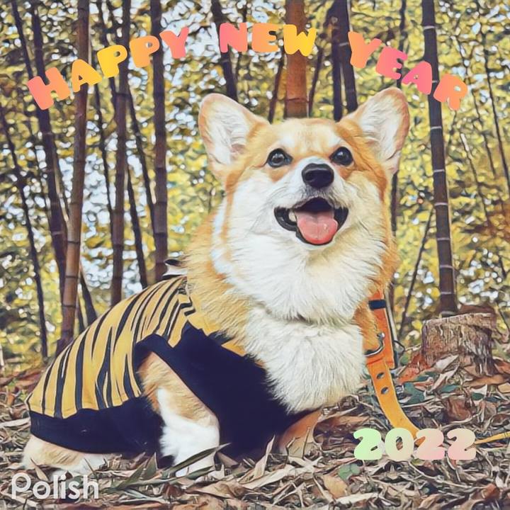 B6f39a6a b837 4ef9 99e1 8fdfefa4c265 1641004614352