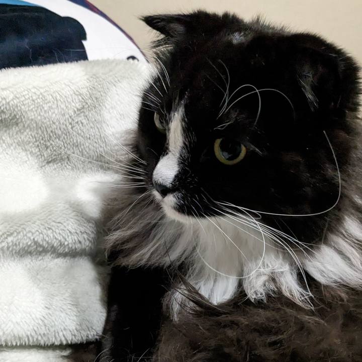 B6f3dd39 30a3 4174 a7b0 06bd4621cbd3 1676071144361