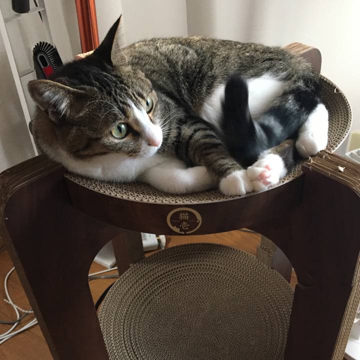 B6f3fa22 c5fb 486f 8e97 349cb6a6ef66 1665313943657