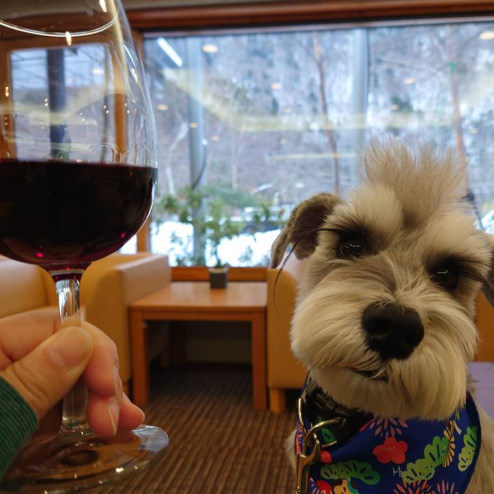 B6f41b1f ef1a 4d06 a7c9 d1a7de2a434b 1768375902820