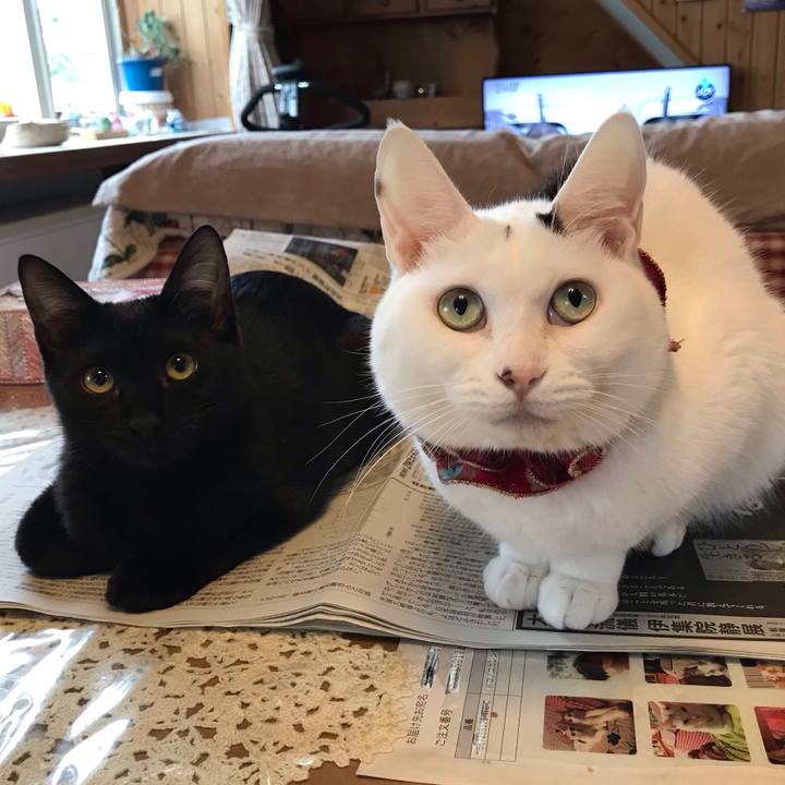 B6f473e7 4198 4f21 a200 b442554abd0a 1570320690208