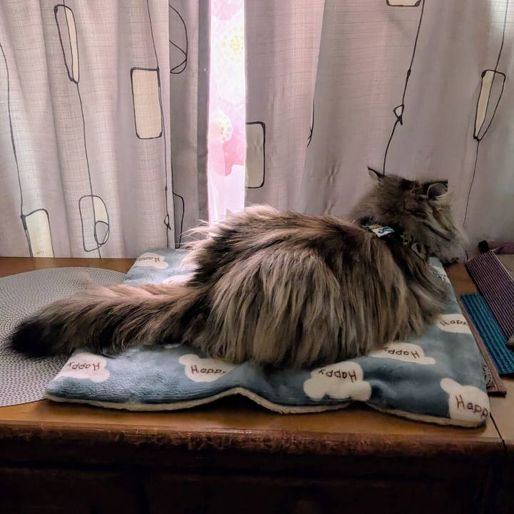 B6f4bde9 5b60 470c b184 1791b417eaa5 1740954603534