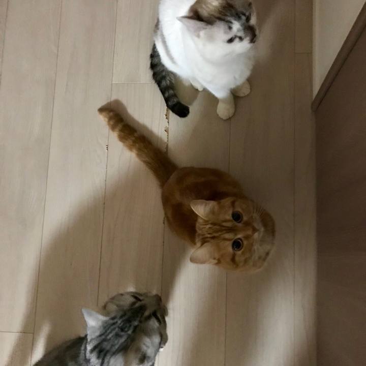 B6f4debb 67a8 4870 ae57 adcb4beffa33 1518173623817