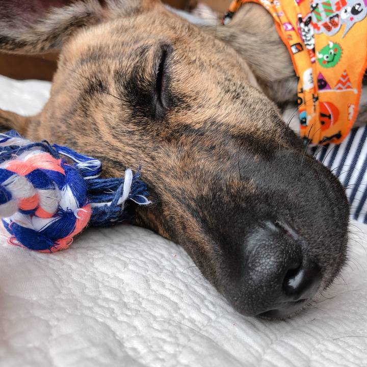 B6f4edd6 a17d 465a a7ef a04f421a2d9c 1572410222462