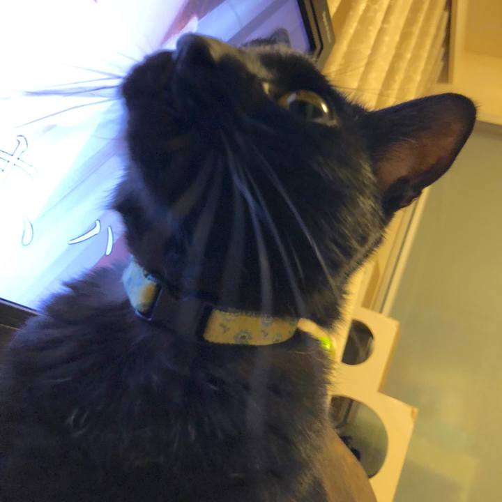 B6f51076 5112 4050 9763 9155f437e0f0 1537021944896