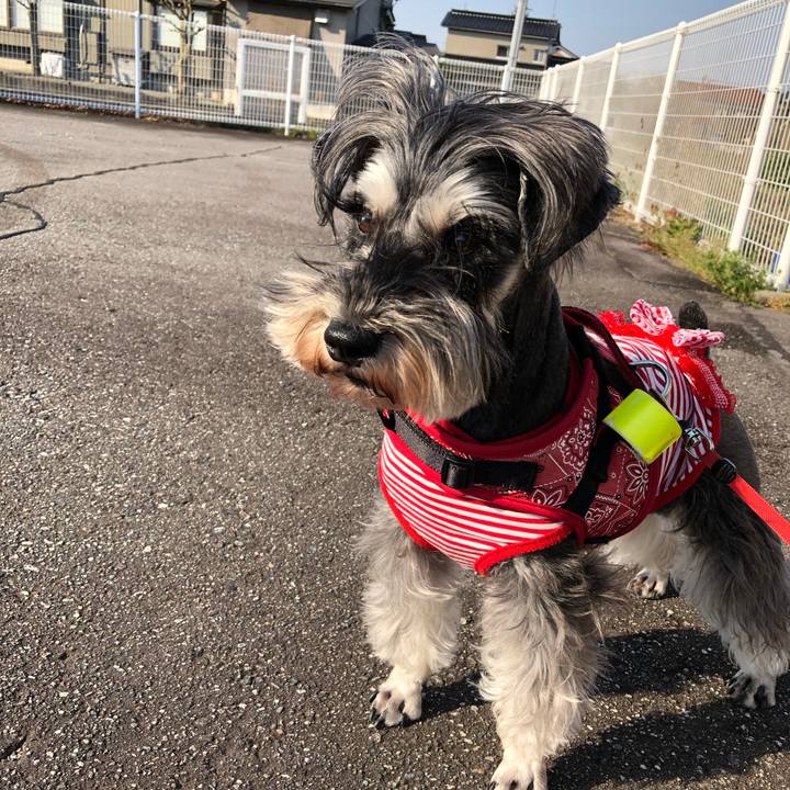 B6f51556 e883 4d02 bb48 232dada88d04 1588690878357