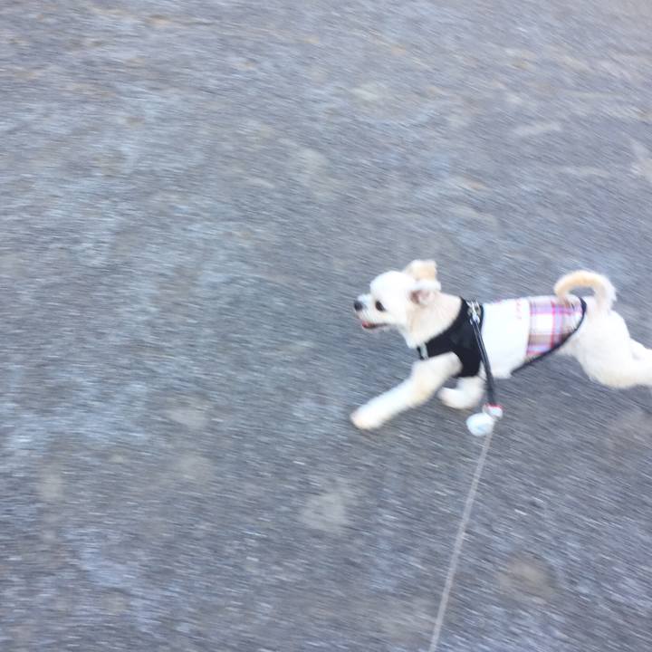 B6f51690 dd5c 4933 9fc3 cf973cf3b8cf 1533945099034