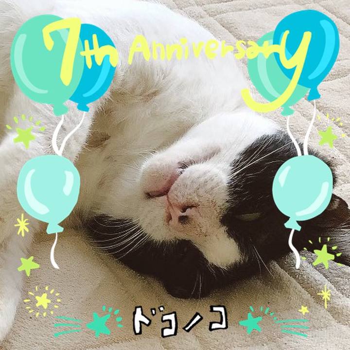 B6f51fcc dfb0 47e8 a41b 80e060510120 1685960161570