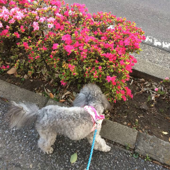 B6f521f6 262a 44c7 9242 a1ccb42ef4fb 1747625590236