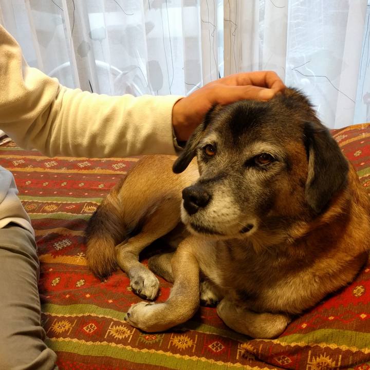 B6f54fa7 8982 403a be92 680c8b5fa59c 1512087224916